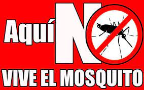 mosquito aedes aegypti f FaceBook
